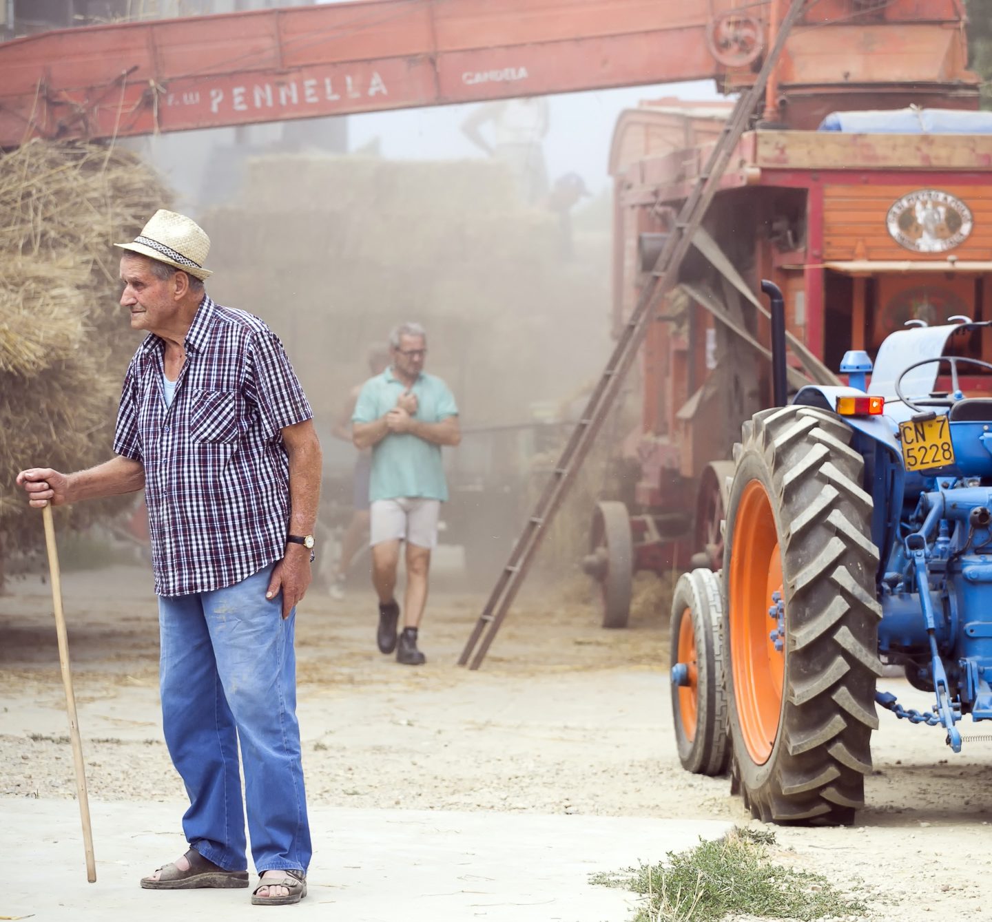 Il grano e la sua magia
